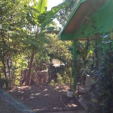 הוילה Casa Flor De Annia ~ Cozy 2 Bdrm On The River Sierpe ~ Walkable To Town מראה חיצוני תמונה