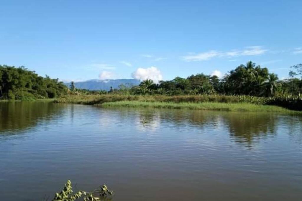 הוילה Casa Flor De Annia ~ Cozy 2 Bdrm On The River Sierpe ~ Walkable To Town מראה חיצוני תמונה