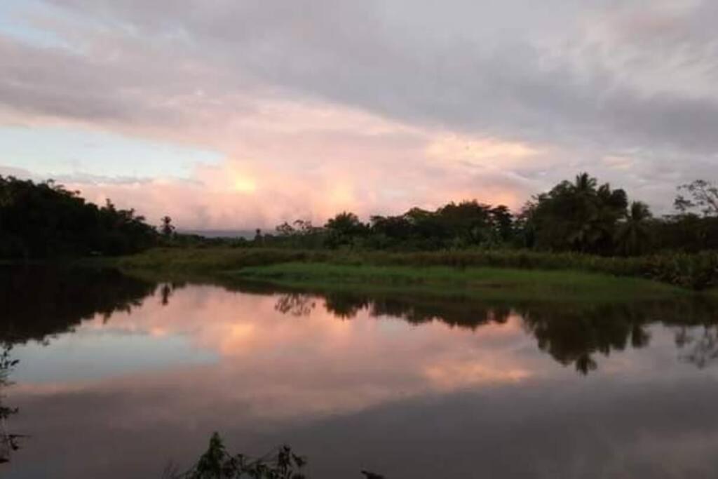 הוילה Casa Flor De Annia ~ Cozy 2 Bdrm On The River Sierpe ~ Walkable To Town מראה חיצוני תמונה