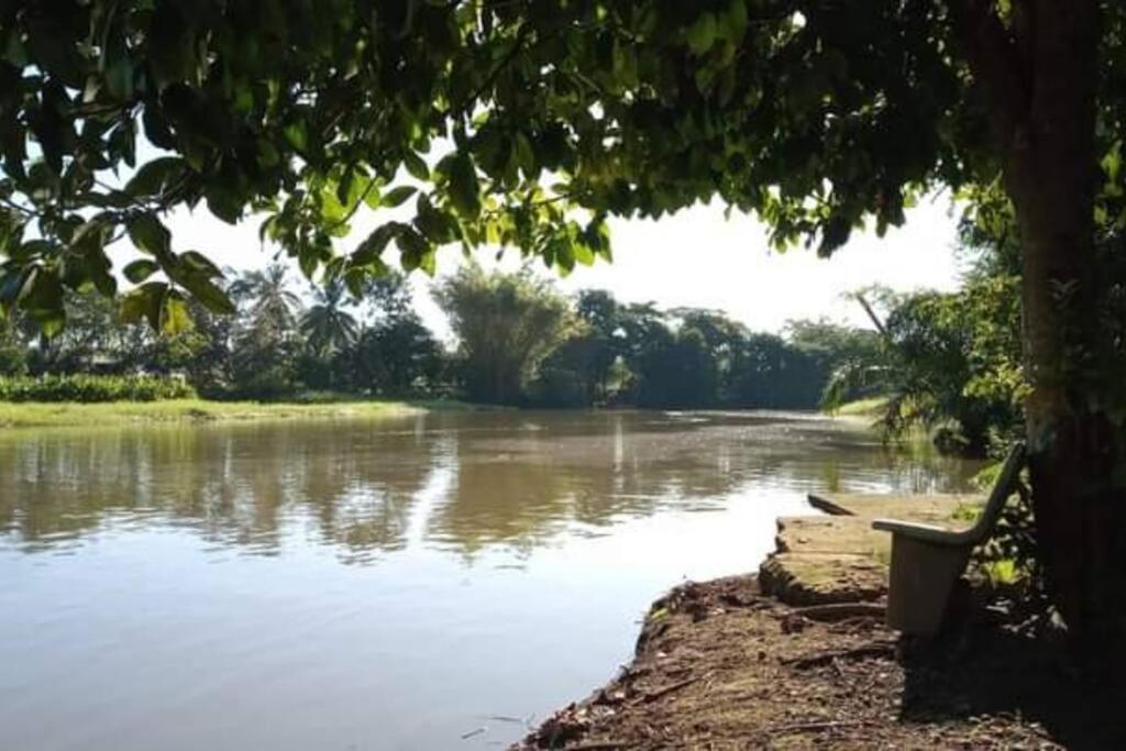 הוילה Casa Flor De Annia ~ Cozy 2 Bdrm On The River Sierpe ~ Walkable To Town מראה חיצוני תמונה