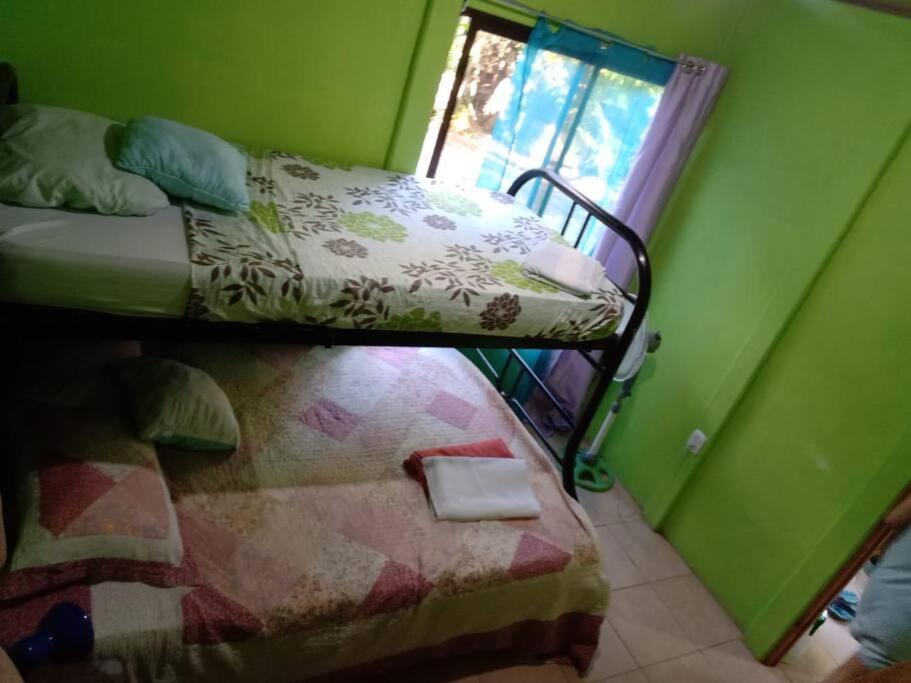 הוילה Casa Flor De Annia ~ Cozy 2 Bdrm On The River Sierpe ~ Walkable To Town מראה חיצוני תמונה