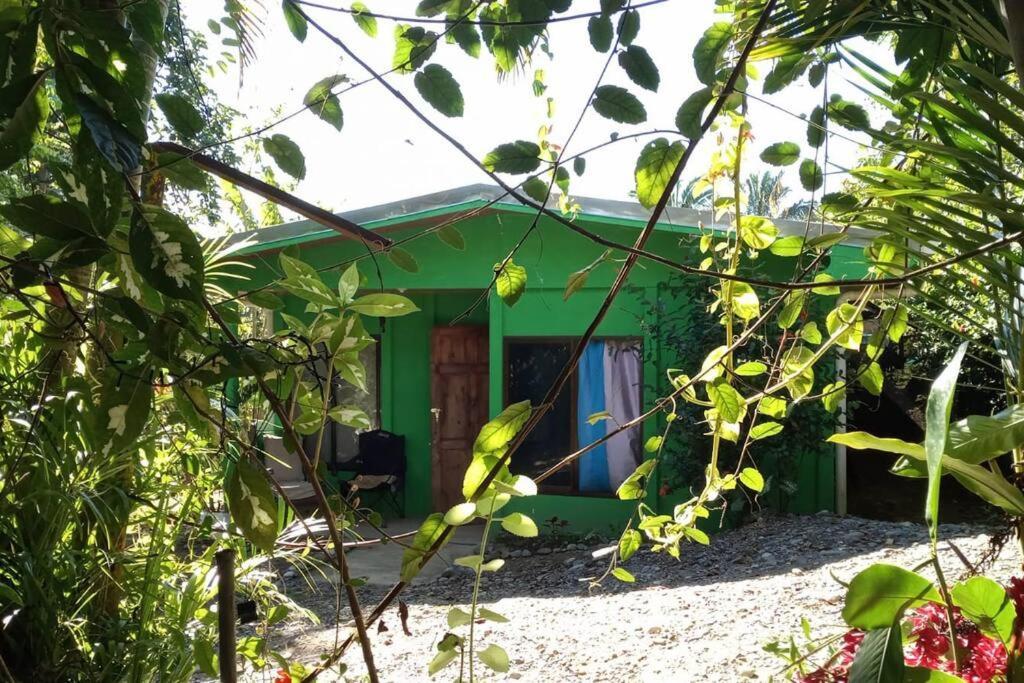 הוילה Casa Flor De Annia ~ Cozy 2 Bdrm On The River Sierpe ~ Walkable To Town מראה חיצוני תמונה