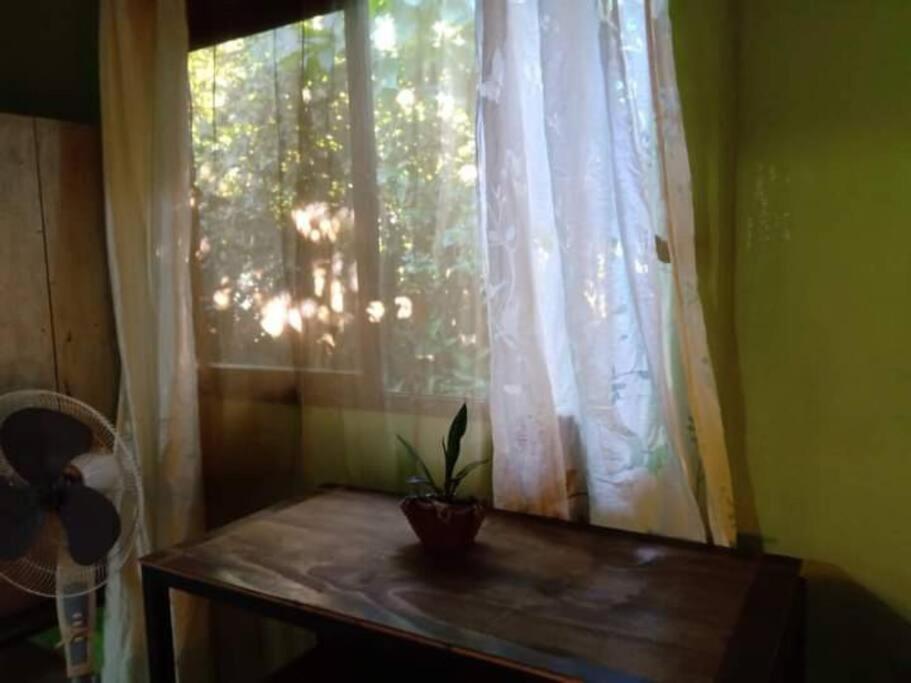 הוילה Casa Flor De Annia ~ Cozy 2 Bdrm On The River Sierpe ~ Walkable To Town מראה חיצוני תמונה