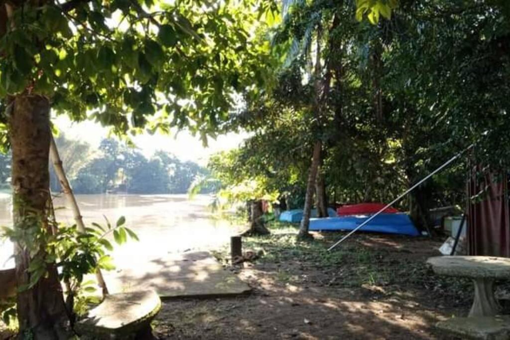 הוילה Casa Flor De Annia ~ Cozy 2 Bdrm On The River Sierpe ~ Walkable To Town מראה חיצוני תמונה